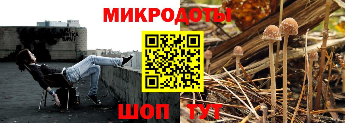 Галлюциногенные грибы прущие грибы  Вход с VPN  Ессентуки 